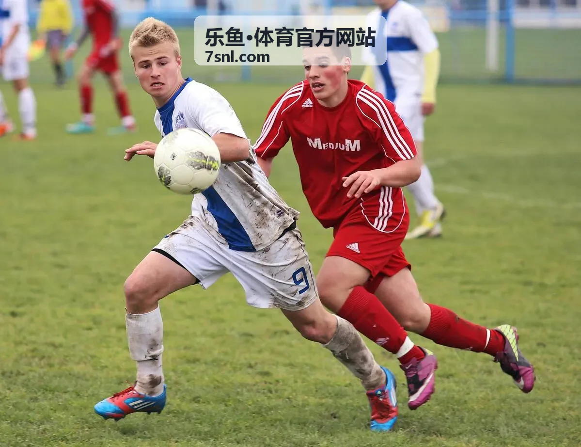 乐鱼·体育官方网站多端访问界面